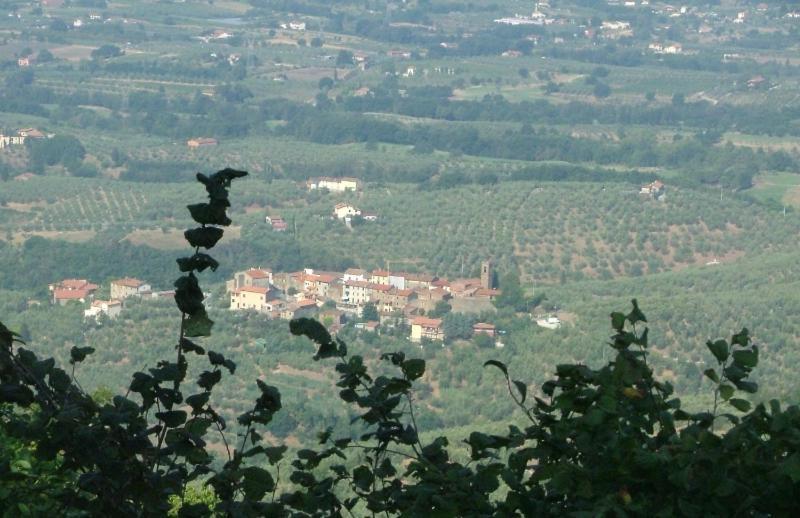 Podere Calistri Larciano Buitenkant foto